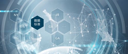 什么是數(shù)據(jù)標(biāo)準(zhǔn)？如何建設(shè)與管理？一篇文章讓你徹底搞懂?dāng)?shù)據(jù)處理